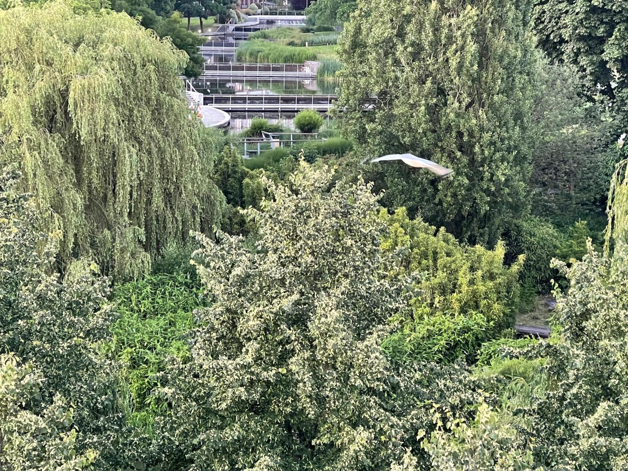 Luxury 2 Bedroom Apartment- Lake View - Free Parking - Wembley Stadium 5Km 伦敦 外观 照片